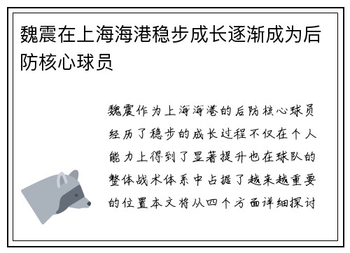魏震在上海海港稳步成长逐渐成为后防核心球员